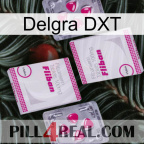 Delgra DXT 33
